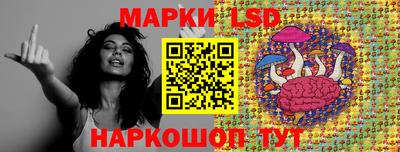 МДПВ Камышлов