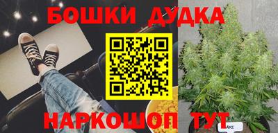 МДПВ Камышлов