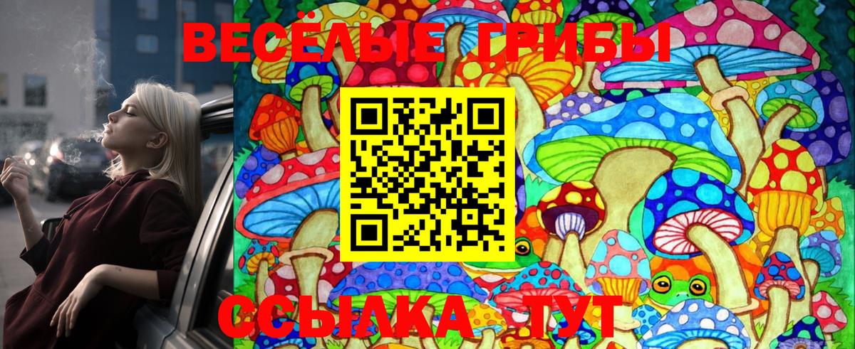Галлюциногенные грибы Psilocybe  Вход с VPN  Кубинка  Галлюциногенные грибы мухоморы 
