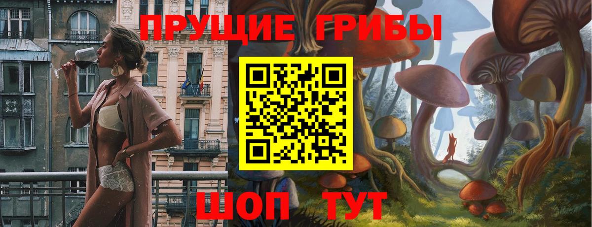 Псилоцибиновые грибы Psilocybe Кубинка